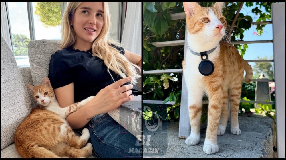 Pınar Sabancı Kedisi Zeze’yi Önce Kaybetti Sonra Buldu...