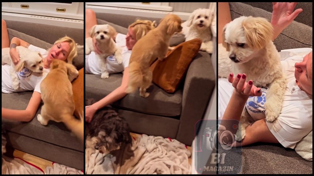 Mermerci'nin Köpek Dostlarıyla Keyifli Anları...