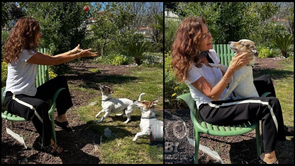 Can Dostlarıyla Mutlu Sabah...