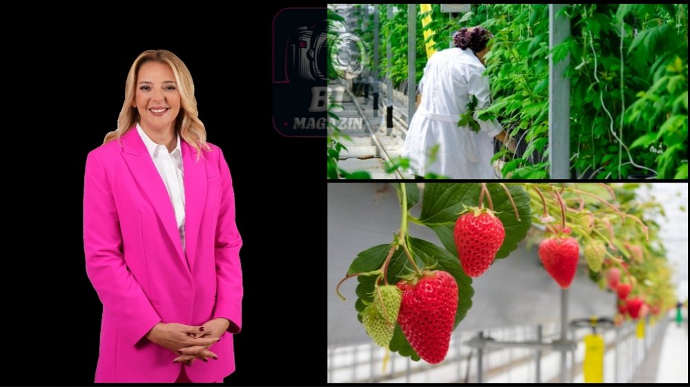 Elara Tarım İle 300 Bin Metrekarelik Akıllı Serada 'Bitki İhtiyaç Haritası' Dönemi...